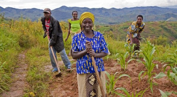 La Norvège annonce une contribution importante pour l’adaptation des petits producteurs agricoles aux changements climatiques