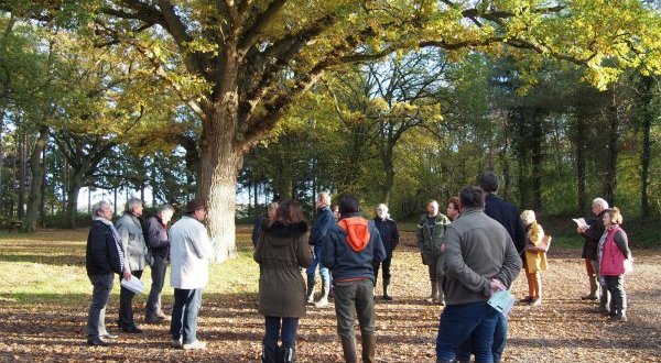 Les Rencontres nationales des territoires forestiers pour « Repenser le dialogue autour de la forêt »