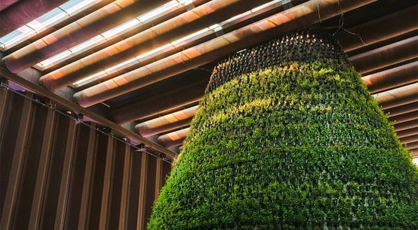 #Expo2020Dubaï le pavillon des Pays-Bas dévoile son biotope, élu «&nbsp;Projet de Construction Durable&nbsp;» de l’année 2021