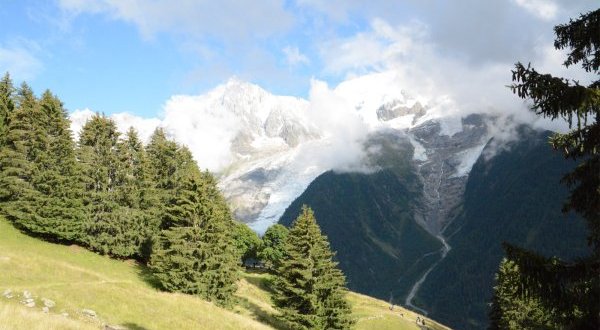 Les inventaires forestiers nationaux européens unissent leurs forces