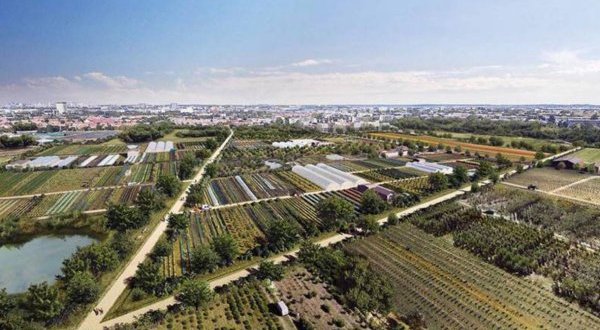 Une plaine agricole de 2300 hectares à deux pas du marché de Rungis