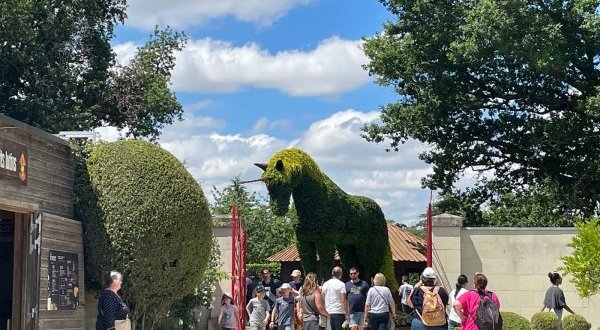 Terra Botanica veut investir davantage pour peser dans une tendance touristique proche de la nature