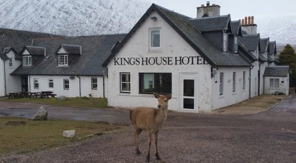 La faune sauvage d’Ecosse préservée grâce aux parrainages Highlands Titles