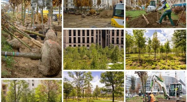 Paris : la place de Catalogne en forêt urbaine