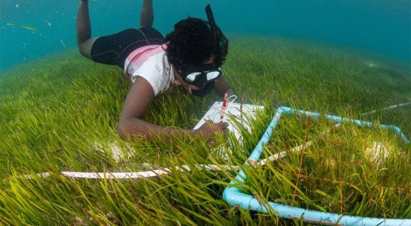 L’atoll de Laamu sous Mission Blue Hope Spot