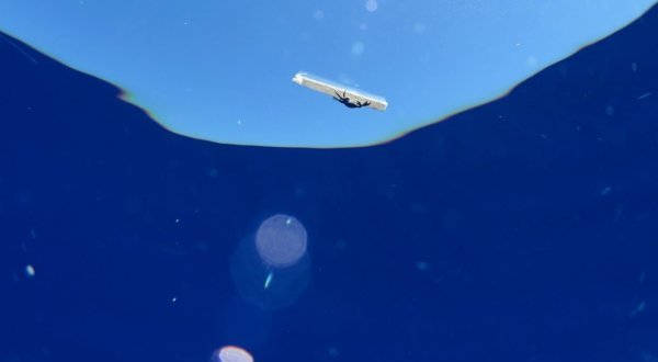 Un guide pour aider les collectivités à lutter contre les plastiques