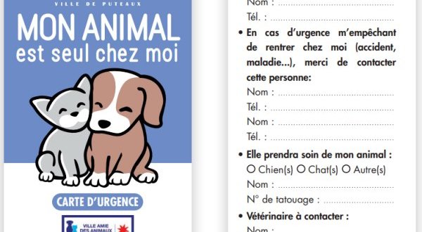 Puteaux lance une carte d’urgence pour les animaux domestiques