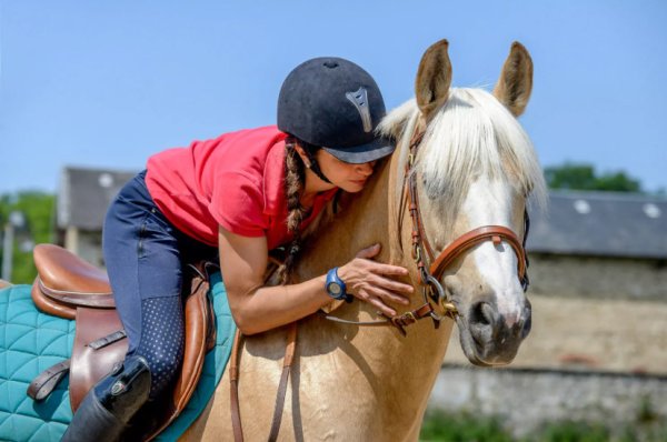 Une journée mondiale du cheval fixée par l’ONU au 11 juillet