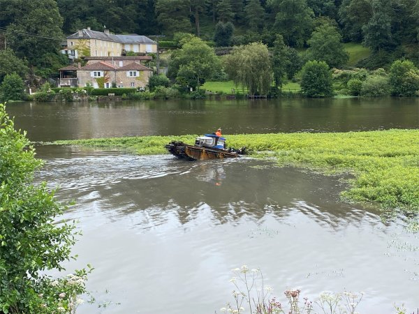 Vienne et Gartempe combat la jussie